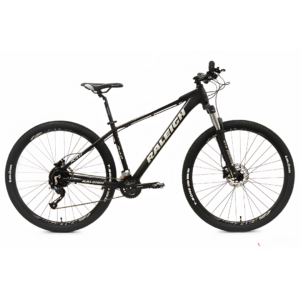 Raleigh Mojave 4.0