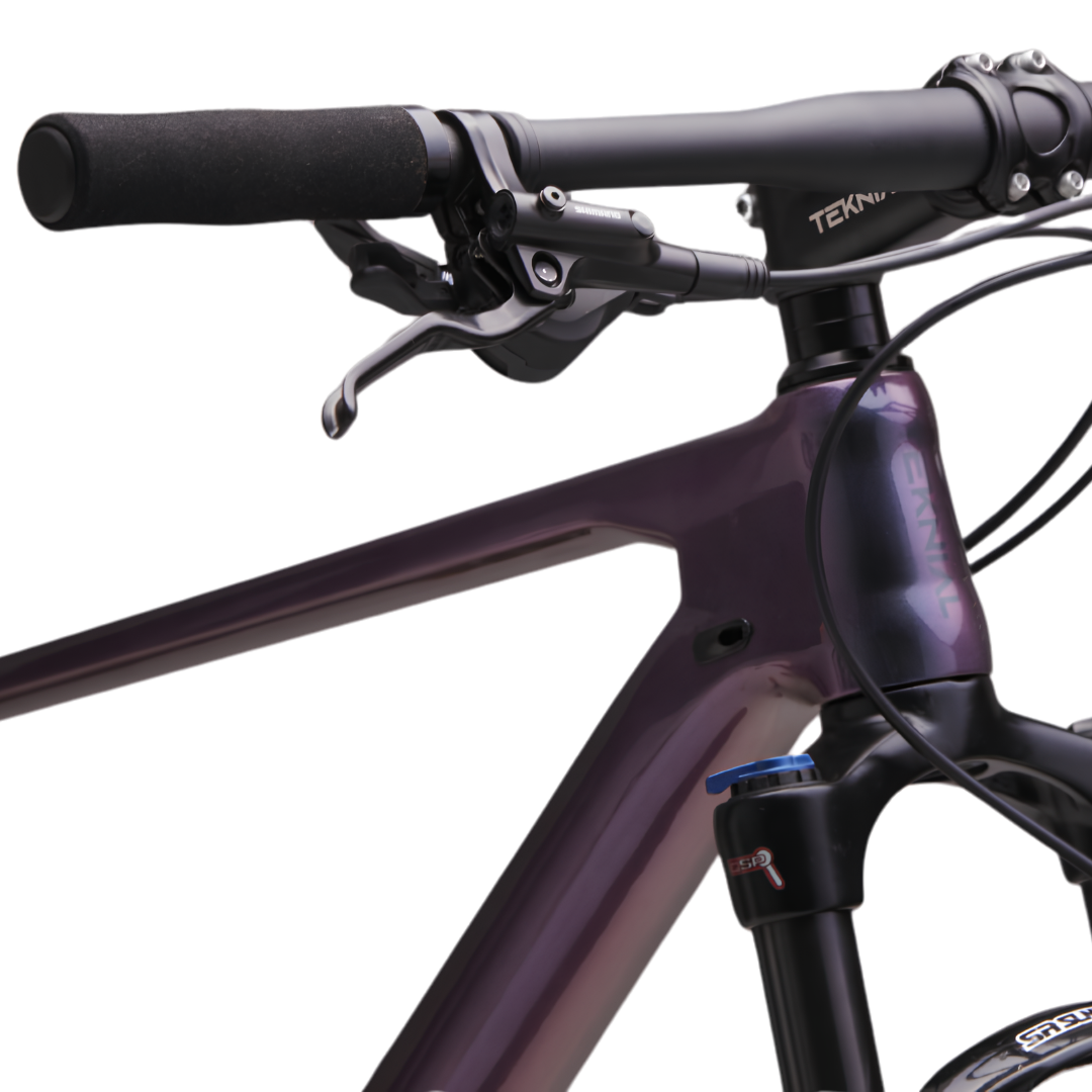Bici Teknial Quagga - Imagen 4