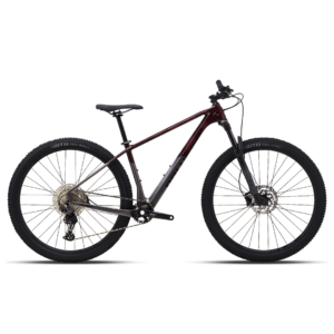 Bici Polygon Syncline C3