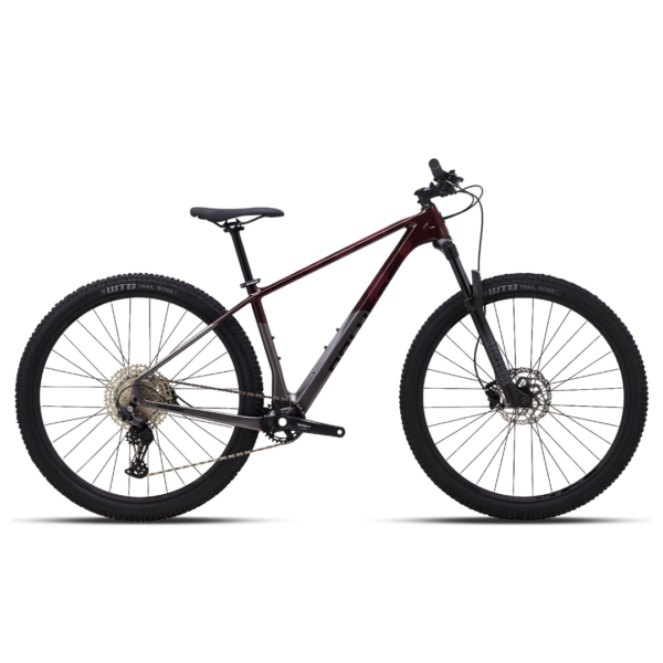 Bici Polygon Syncline C3