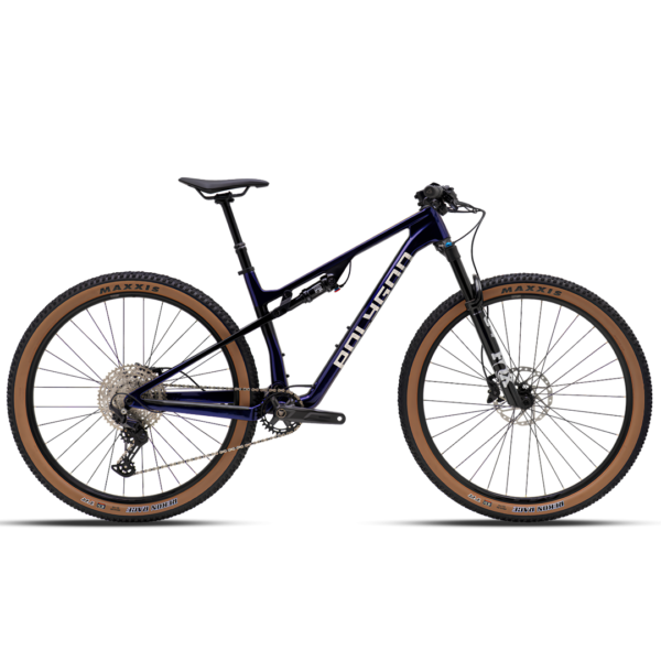 Bici Polygon DR6 CB