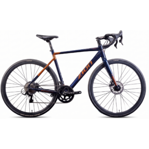Bici Zion Pegaso AD