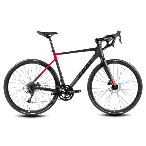 Bici Zion Ruffian