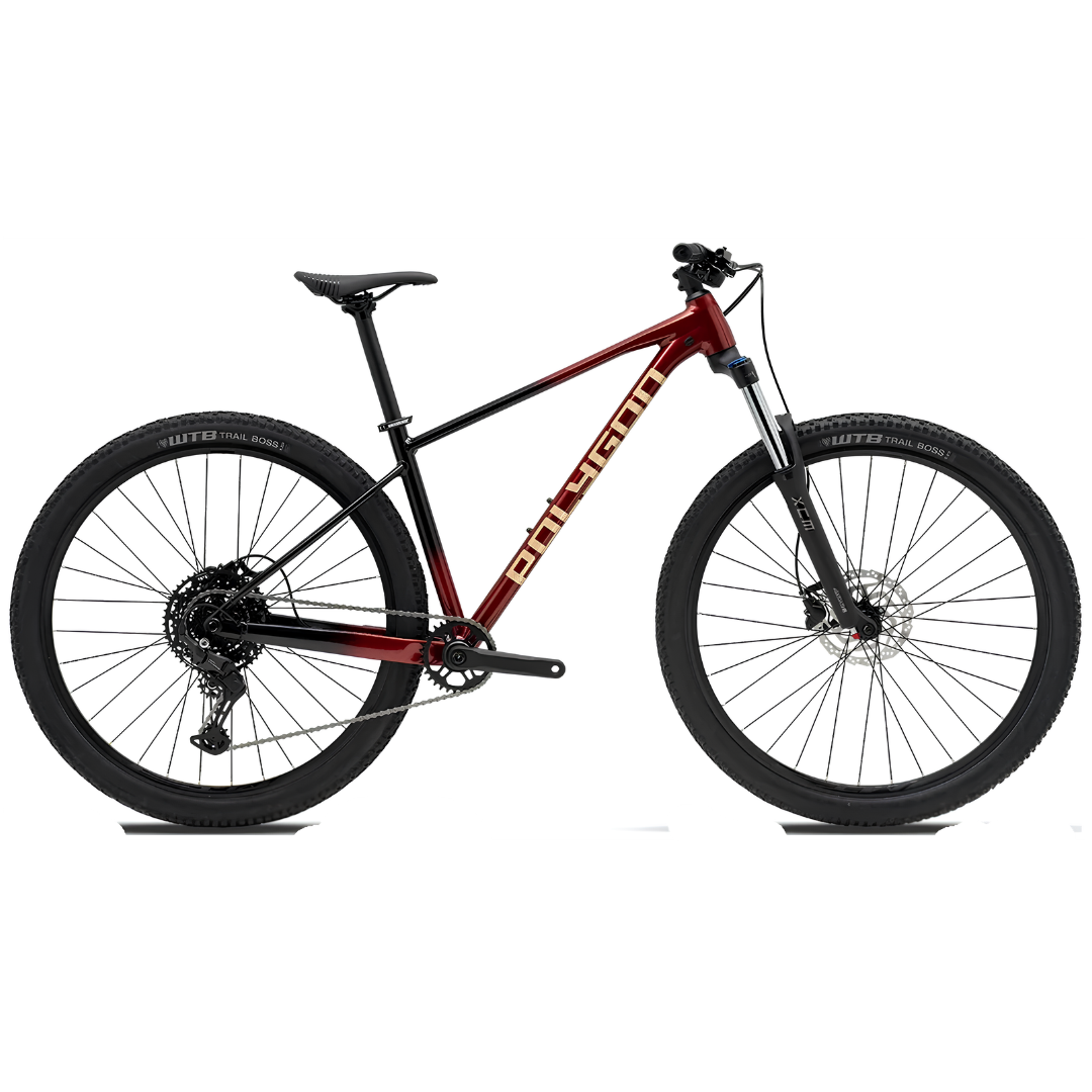 Bici Polygon Xtrada 5