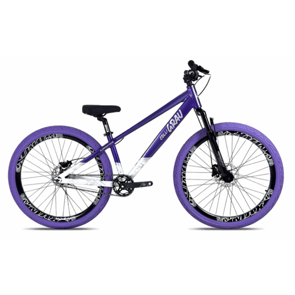 Bici Colli Grau Sport R26