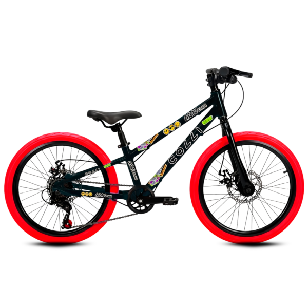 Bici Colli Grauzinha R20